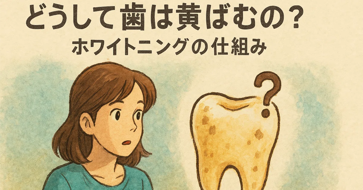 どうして歯は黄ばむの？ホワイトニングの仕組み